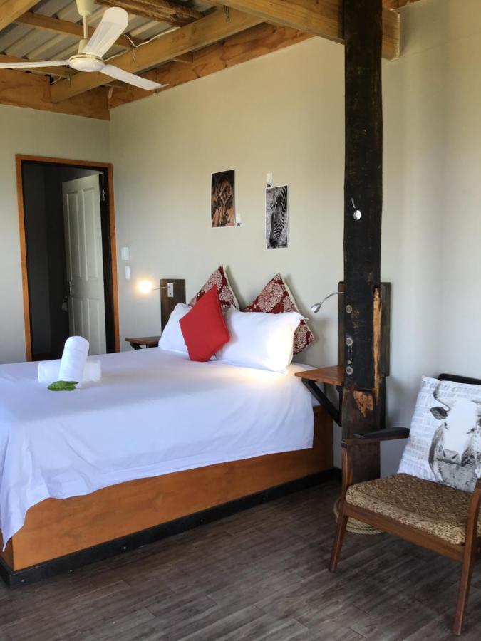 Coram Deo Saltywaves Double En-Suite Rooms With Sea Views 咖啡湾 外观 照片