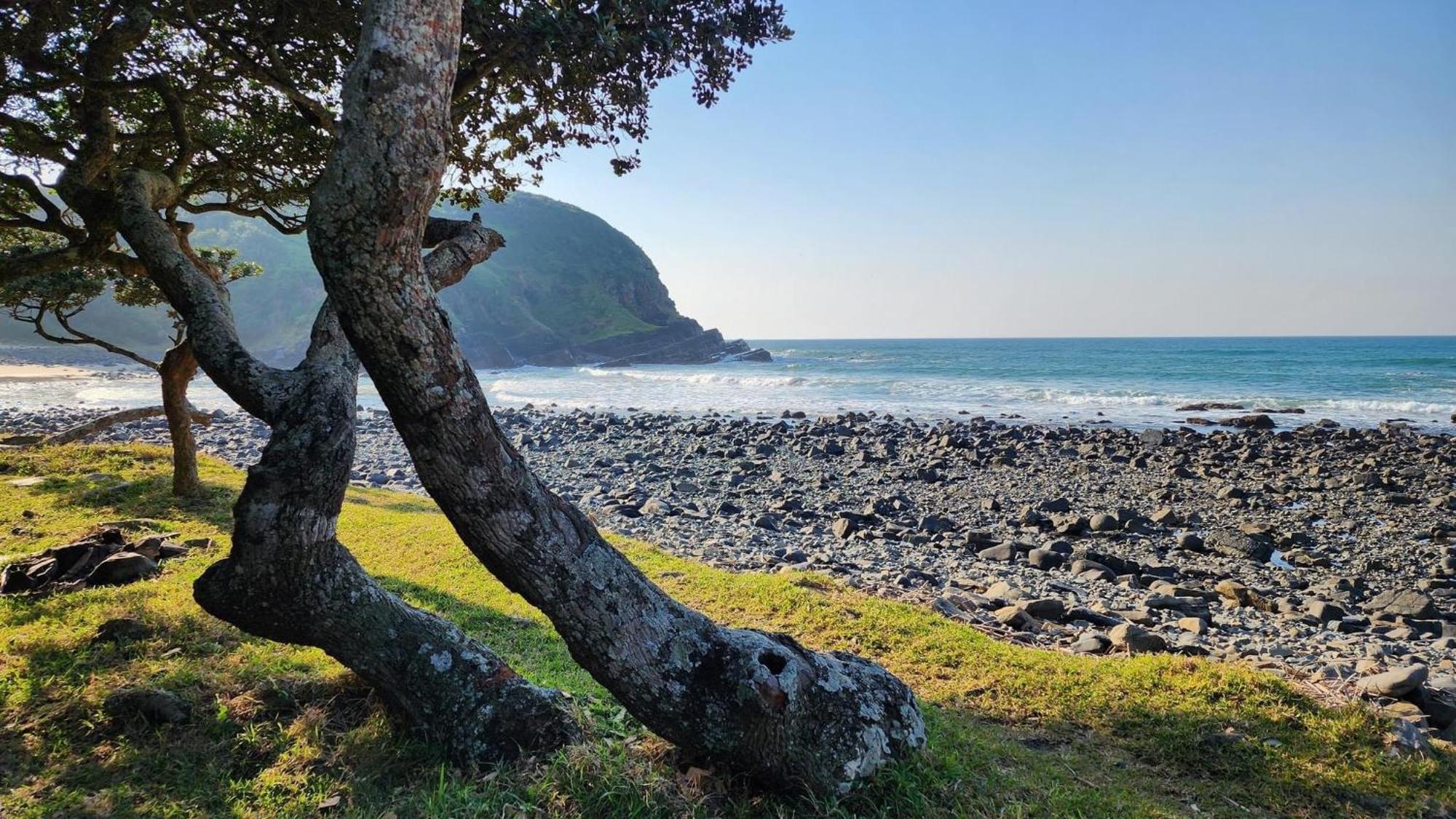 Coram Deo Saltywaves Double En-Suite Rooms With Sea Views 咖啡湾 外观 照片
